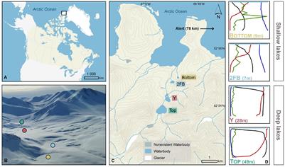 Local Habitat Filtering Shapes Microbial Community Structure in Four Closely Spaced Lakes in the High Arctic